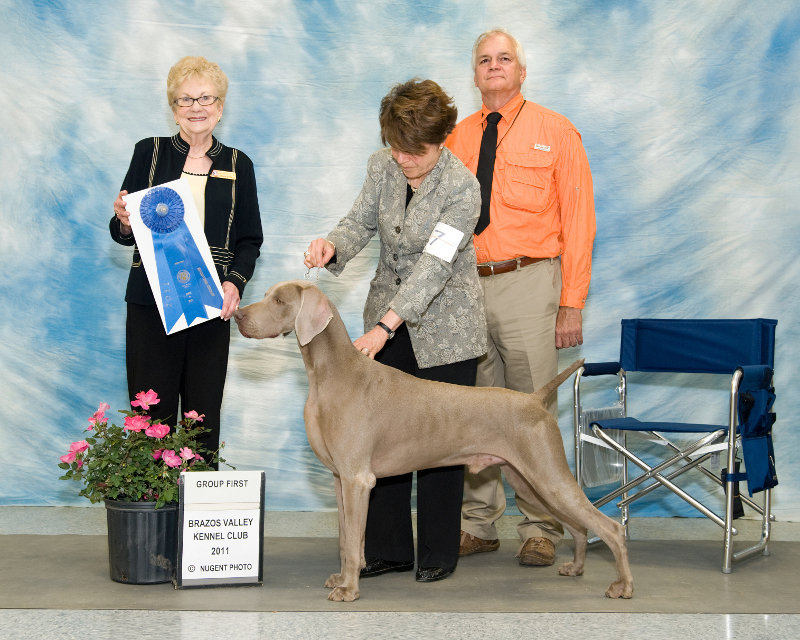 Sunday's Sporting Group Winner